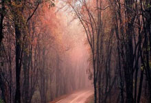 乐鱼vip注册-意甲内战引爆欧洲杯！意大利26人终极名单暗藏玄机