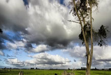 leyu乐鱼体育-阿尔希拉尔战术多变，力争战胜强敌