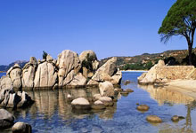 乐鱼体育APP下载-河畔巨人的迷雾航程：米德尔斯堡客场连败背后的破局密码