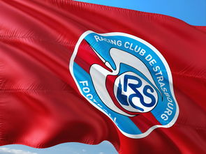 乐鱼app-帕尔梅拉斯伤病恢复进展顺利，期待发挥