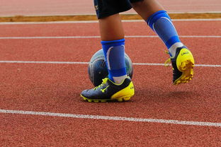 乐鱼vip注册-蒙特雷训练基地开放，备战世俱杯进入冲刺阶段